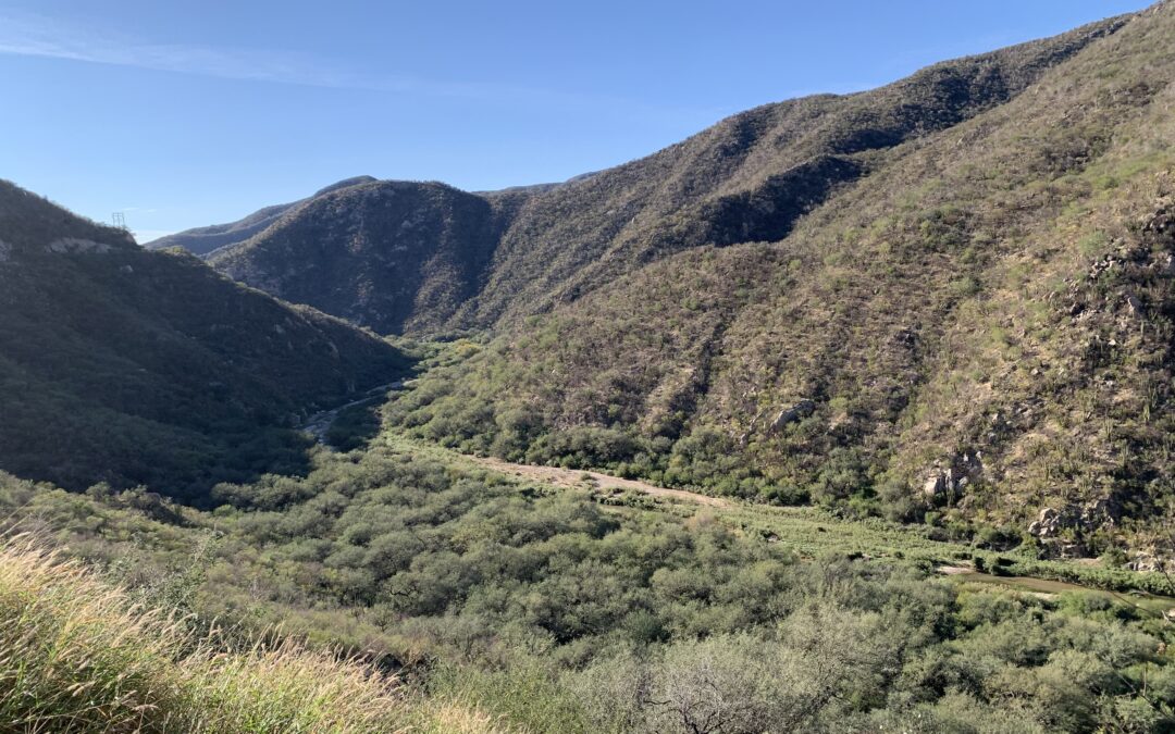 Más allá de las políticas hidráulicas está la recuperación de los ríos