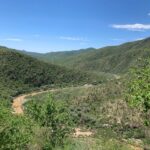 WhatsApp Image 2026-04-01 at 19.05.00