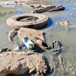 Vigilancia Sanitaria Cuaresma Mercado Hidalgo