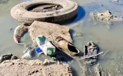 ¿El Toño quiere ser gobernador, en serio?