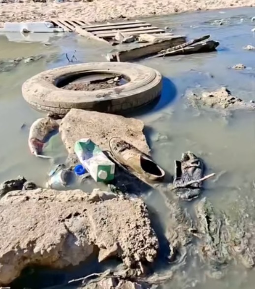 ¿El Toño quiere ser gobernador, en serio?