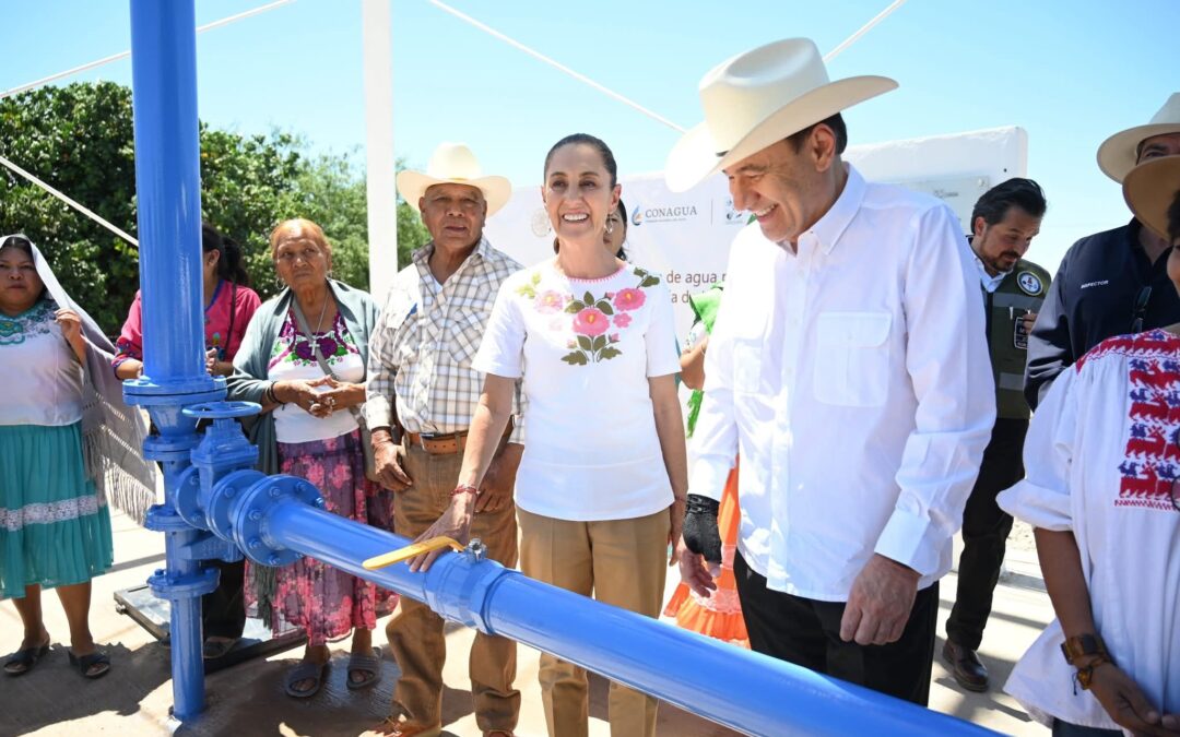 Concentración, escasez y sequía, en ese orden