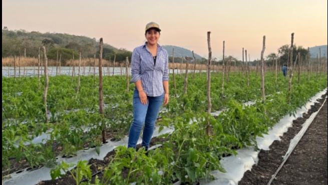 Cepas bacterianas, una alternativa para salvar al campo chiapaneco