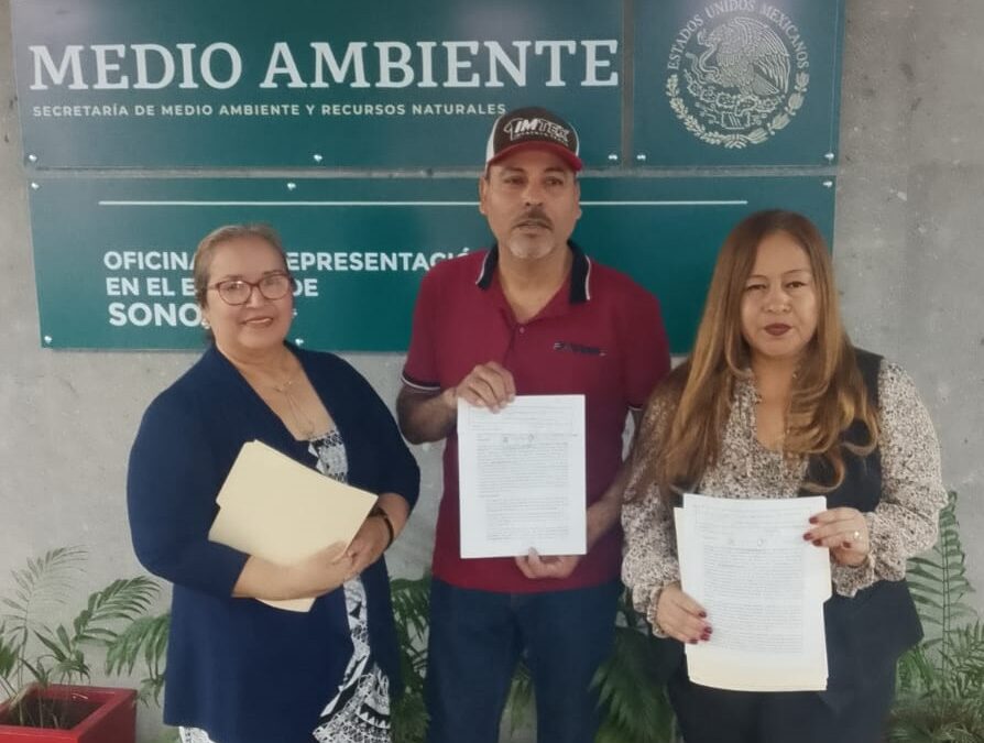 Movimiento “No a las Presas” exige formalizar cancelación de proyectos