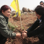 rojava