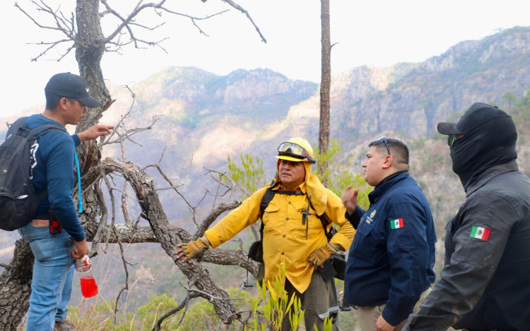 Avanza control de incendio forestal en Álamos; reportan 90% de contención