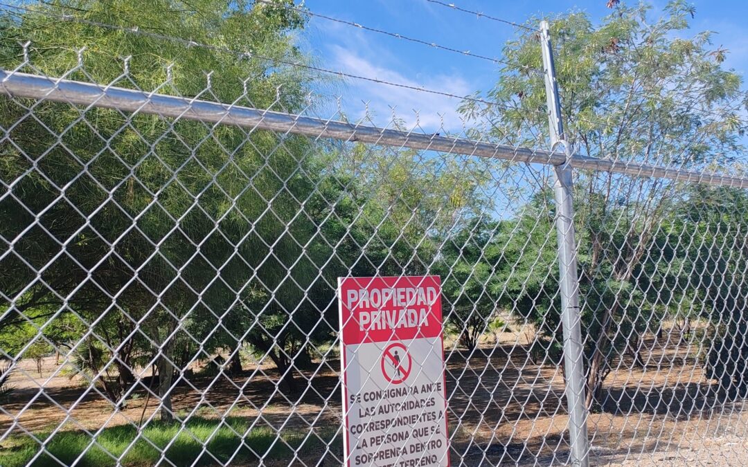 [FIRMA LA PETICIÓN] Necesitamos parque en la Col. Jesus García