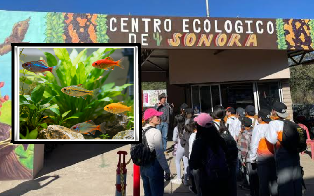 Preparan reapertura del acuario del Centro Ecológico