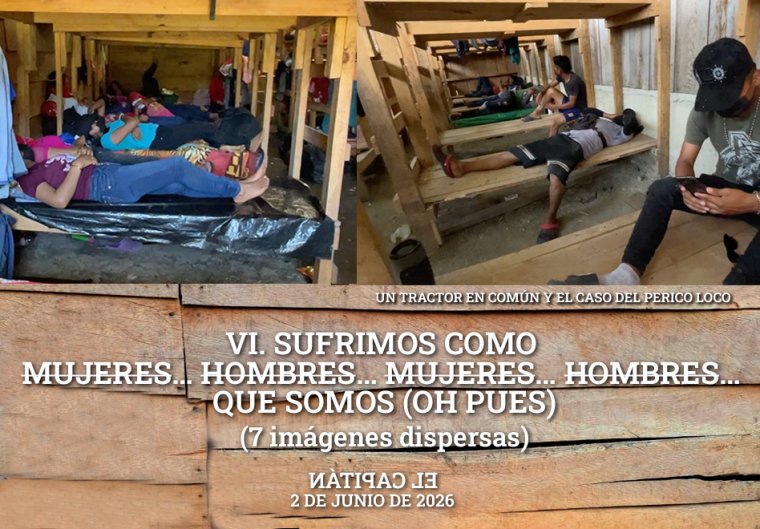 Comunicado zapatista: Un Tractor en Común y el Caso del Perico Loco. VI