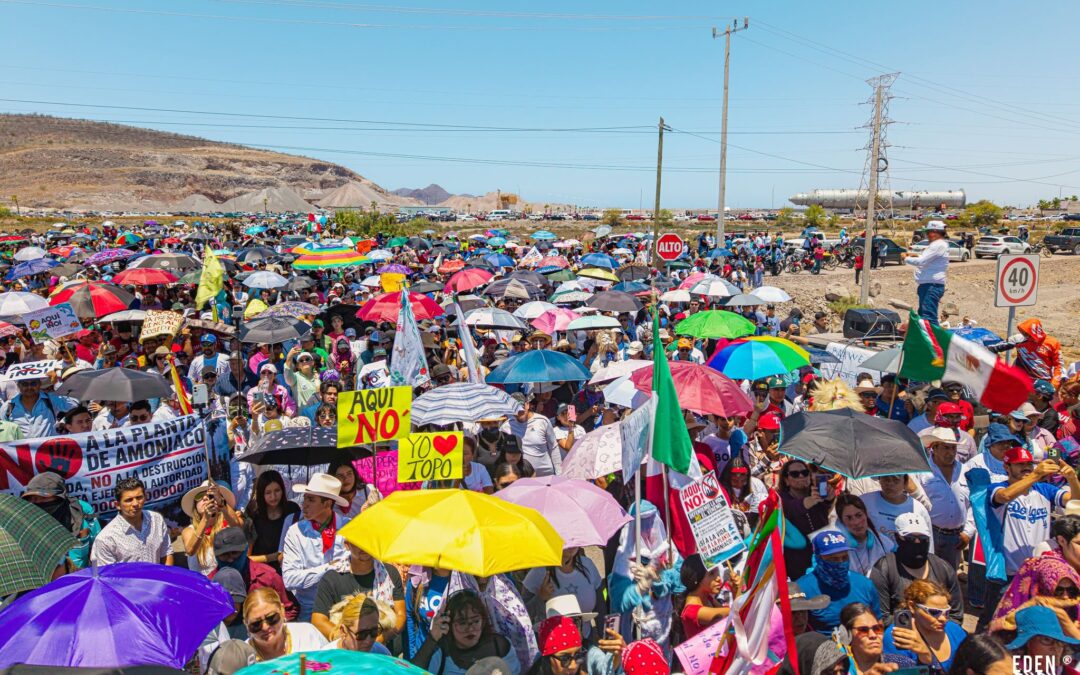“No la queremos”: pueblos indígenas y pescadores exigen cancelar proyecto de planta de amoniaco en Topolobampo
