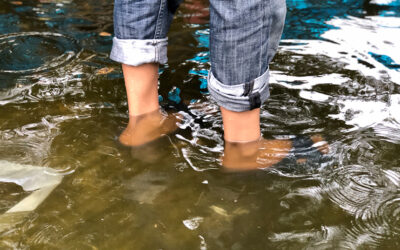 Leptospirosis, una enfermedad poco frecuente, pero que debemos conocer y prevenir en Sonora