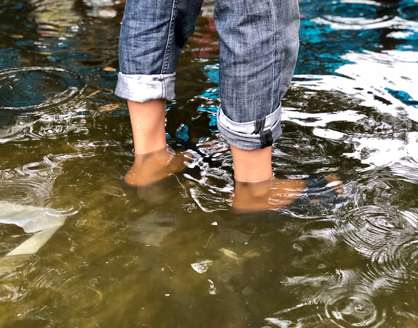 Leptospirosis, una enfermedad poco frecuente, pero que debemos conocer y prevenir en Sonora