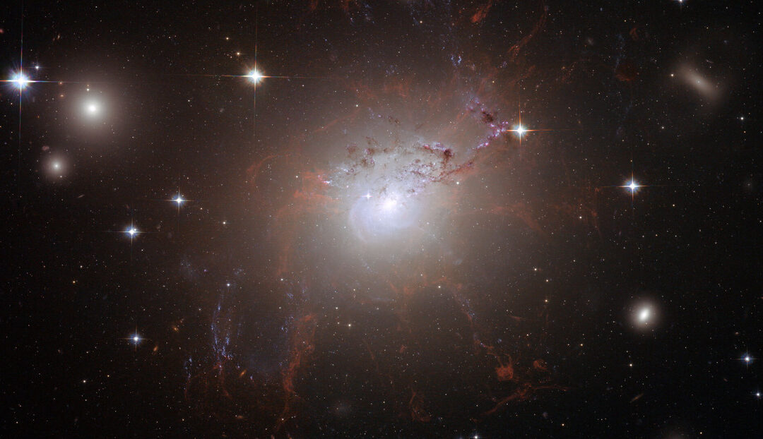 La lluvia de estrellas