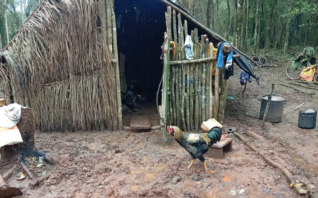 Territorio ancestral Mbya en resistencia