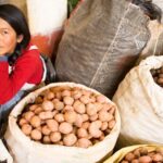 El conflicto en Irán seguirá golpeando el bolsillo y la economía de América Latina durante todo 2026 economía