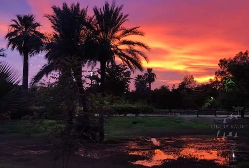 La ciencia respalda un hábito sencillo: mirar el atardecer puede beneficiar la salud mental