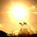 Conagua pronostica incremento de temperaturas en gran parte de Sonora solazo