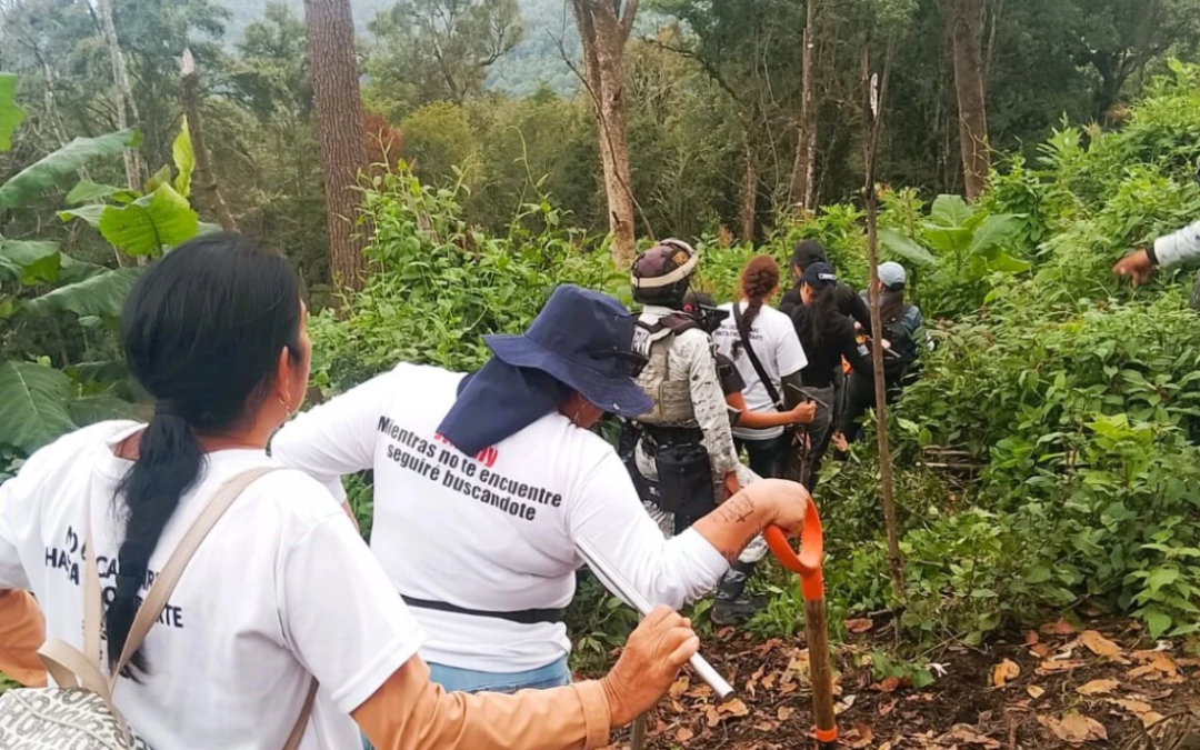 Cadáveres sin nombre: en Guerrero, la identificación forense solo es una simulación, denuncian colectivos