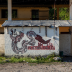 Captura de pantalla 2026-08-14 162333