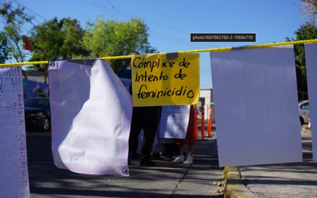 Violencia vicaria: el feminicidio silencioso