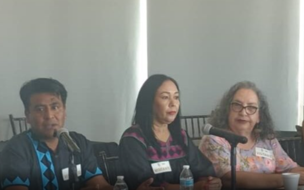 Reforma electoral en Chihuahua “es un retroceso histórico”; promueven 30 juicios para eliminarla