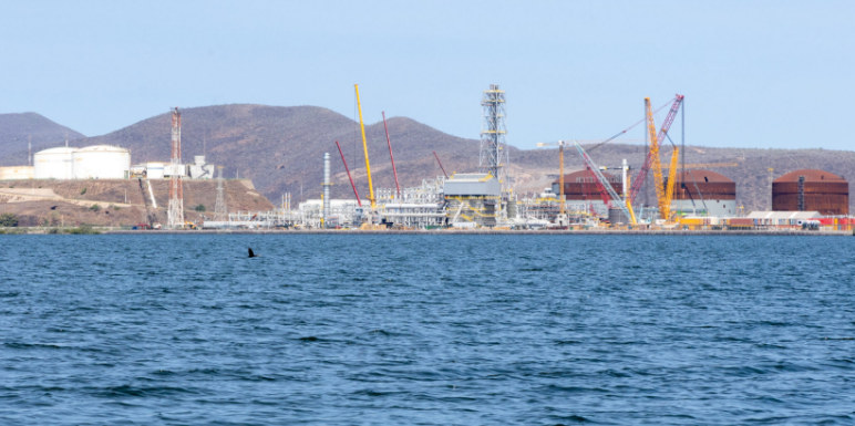 Llamadas automatizadas promueven planta de amoniaco en Sinaloa