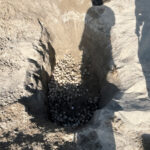 Tortugas_Morro_ayuta_03 (1)