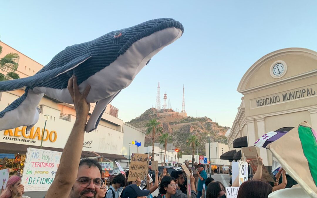 Marchan en Hermosillo contra los proyectos gaseros en el Golfo de California [Galería y Pronunciamiento]