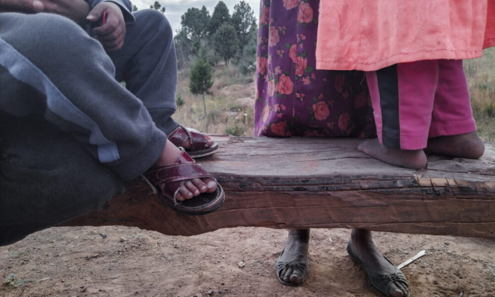 Guerra silenciada en la Sierra Tarahumara: desplazamiento masivo e impunidad