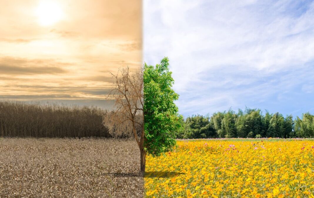 La Tierra en sobregiro: actuar desde lo local ante la crisis climática