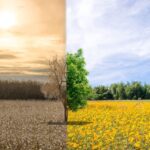 crisis climática
