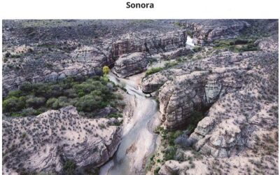 No hay remediación ecosistémica en el capitalismo: Cuenca de Río Sonora y su licitación
