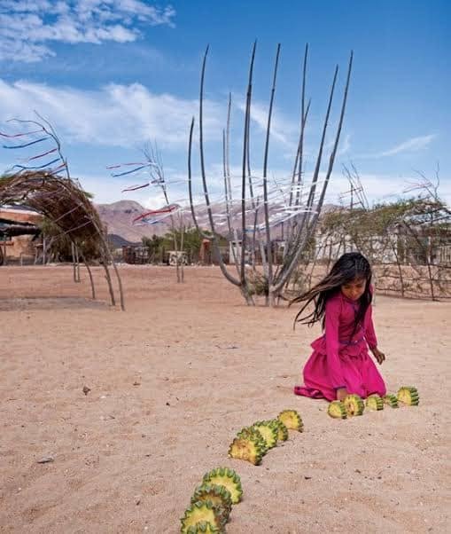 Los pueblos indígenas, actores de su propia historia