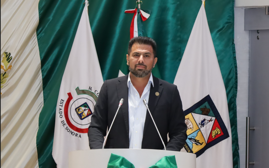 De la preparatoria a la universidad: plantean garantizar becas para estudiantes con discapacidad