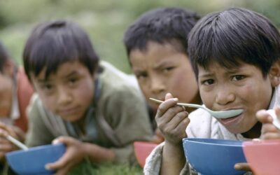 Comer: derecho, lujo y necesidad. Reflexiones sobre el derecho a la alimentación