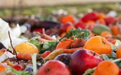 The Figth Food Club: contra el desperdicio de la comida