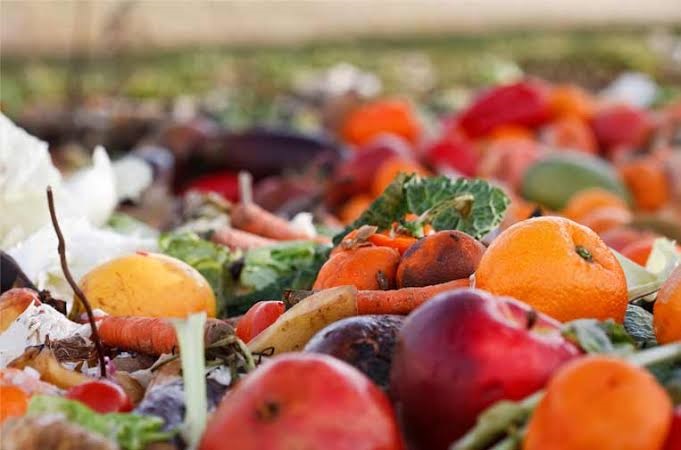 The Figth Food Club: contra el desperdicio de la comida
