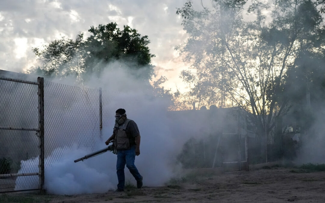 Refuerzan prevención del dengue en el Poblado Miguel Alemán
